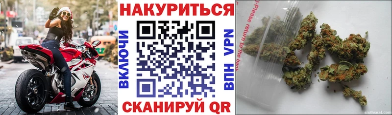 Бошки Шишки гибрид  сайты даркнета состав  Куса  где купить  